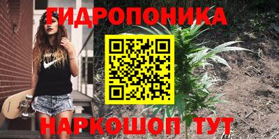 прущие крисы Комсомольск-на-Амуре