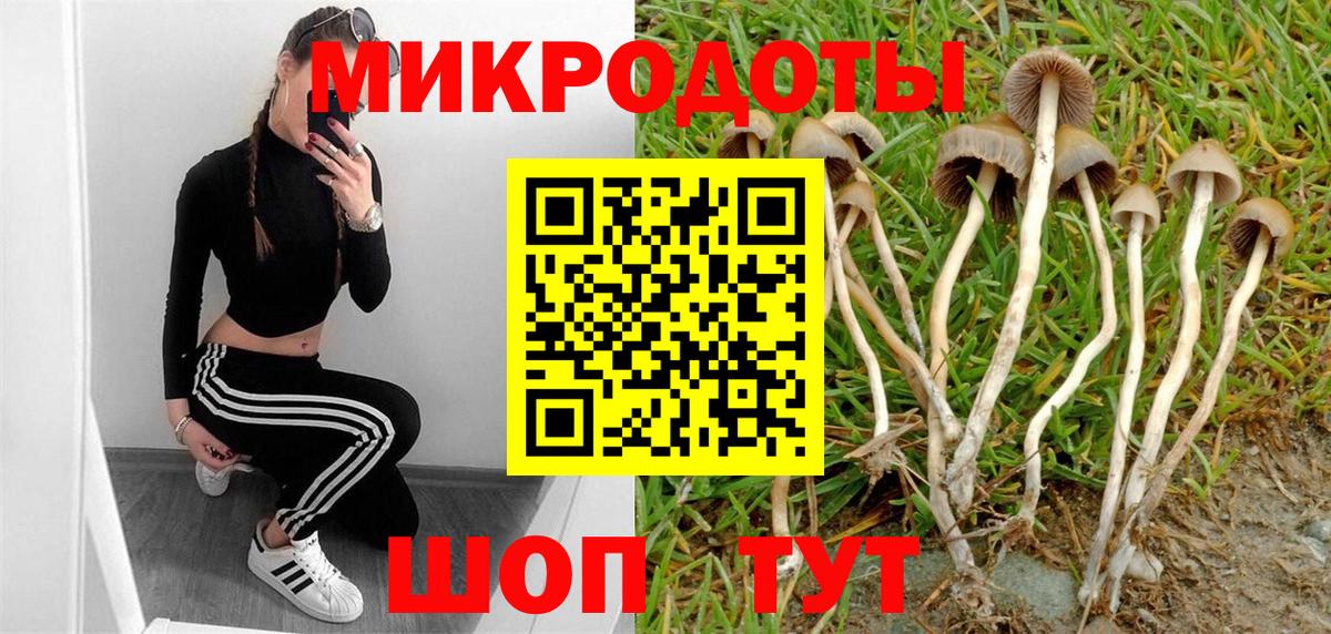 Псилоцибиновые грибы прущие грибы Ярославль