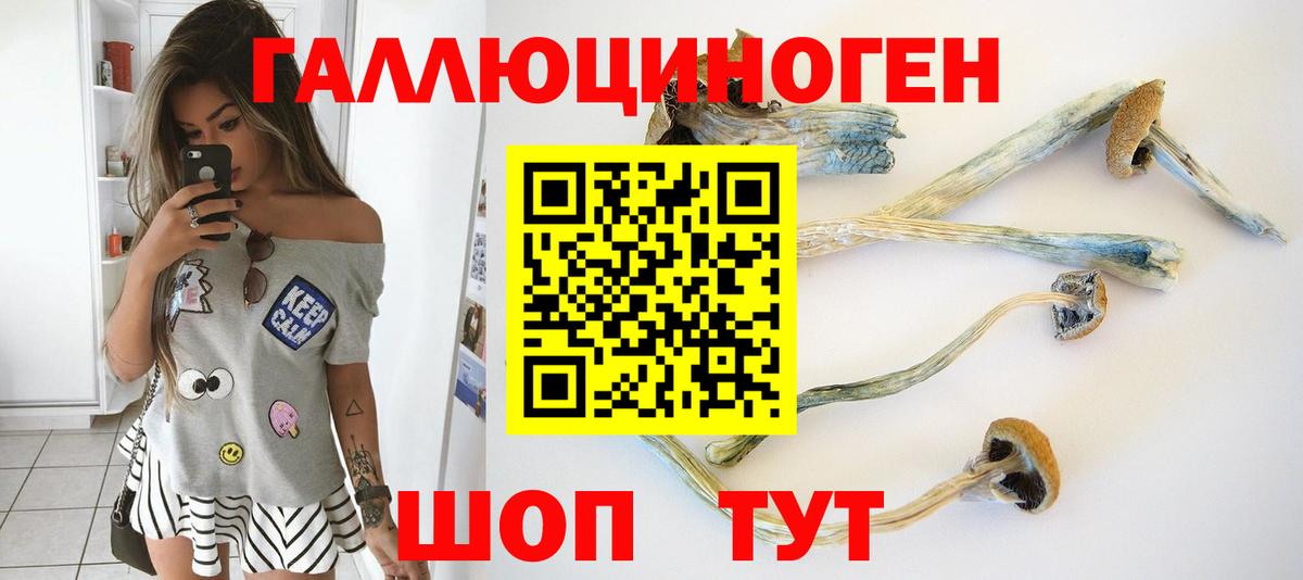 Ярославль  Псилоцибиновые грибы MAGIC MUSHROOMS  где можно купить наркотик  Вход с VPN 